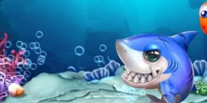 Bắn Cá Mod Là Gì? Khám Phá Những Điểm Nổi Bật Hiện Nay