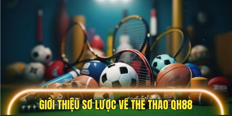 Những thông tin sơ lược liên quan đến sảnh thể thao QH88