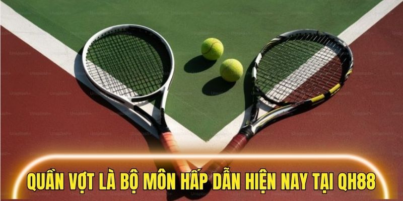 Quần vợt là mộn bộ môn thể thao QH88 cực hấp dẫn